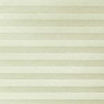 Verduisterend-Limoncello-Koordloos