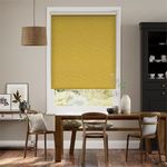 Twist2Fit-Choices-Harrow-Mimosa-Goud