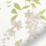 Wisteria-Blossom-Trail-Varen