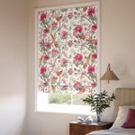 Elysian-Paradise-Fuchsia