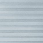 Verduisterend-Blauwe-Nevel-