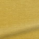 Harrow-Mimosa-Goud