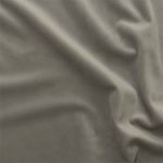 Fine-Velvet-Paloma