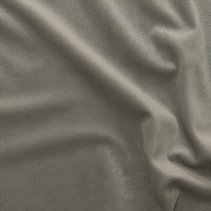 Fine-Velvet-Paloma