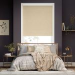 Choices-Eco-Friendly-Nyah-Zand