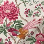 Elysian-Paradise-Fuchsia