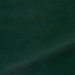 Velvet-Forest-Green