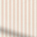 Tiger-Stripe-Blush