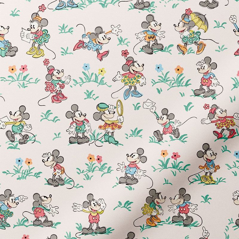 Mickey---Minnie-Blackout-Blush