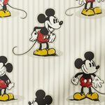 Twist2Go-Mickey-Stripe-Blackout-Natural