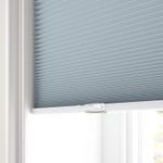 Verduisterend-Blauwe-Nevel-Koordloos-