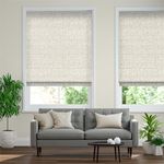 Zoroa-Pale-Neutral