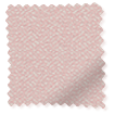22818