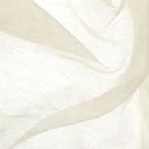 Paraiso Voile Champagne