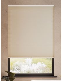 Elektrisch Verduisterend Beige