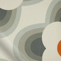 Striped Petal Orange