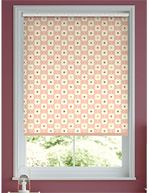 Abacus Verduisterend Sorbet