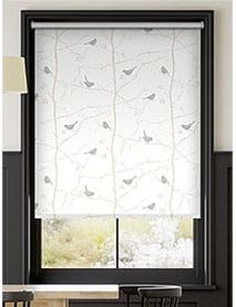 Springs Dawn Chorus Ivoor