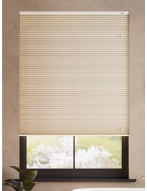 Lichtfilterend Fallow