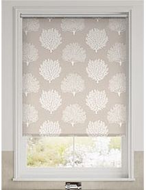 Splash Verduisterend Coraline Steen