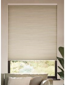 Elektrisch Verduisterend Graan Perkament