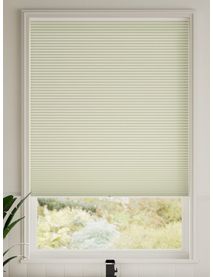 Elektrisch Verduisterend Limoncello