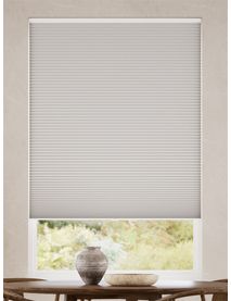 Elektrisch Verduisterend Pluim