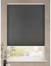 Elektrisch Lichtfilterend Antraciet