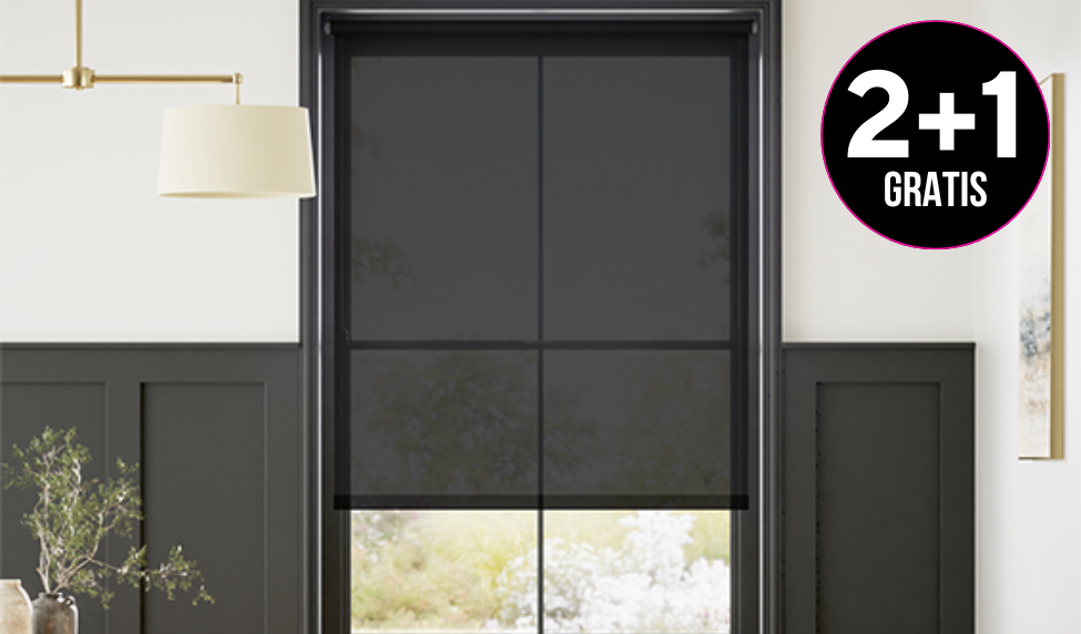 Elektrische Raamdecoratie